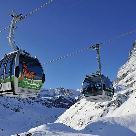 Appartement Brunnmatt Zermatt